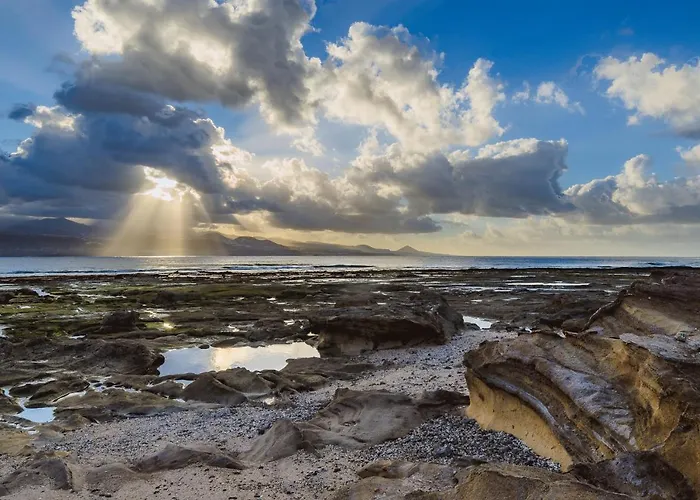 Home2book Design Cool Center Palmas *